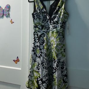 RB Collection Women's Dress